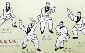 养生多练华佗五禽戏 调理五脏祛病延年