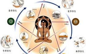 七窍通五脏 从七窍变化可看五脏健康状况