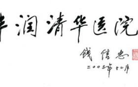 张清华|我的肠粘连亦师亦友