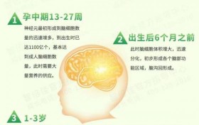 智倍佳藻油DHA—科学新配比，领航新选择！