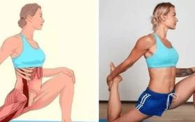 全身拉筋图解来了：拉筋的好处，可能比你想象的多